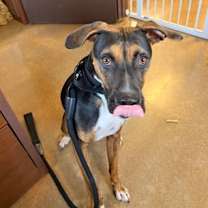 Thumbnail photo of Astro #2