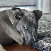 Thumbnail photo of Let's do the TWIST! #3