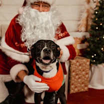 Thumbnail photo of Calypso #2