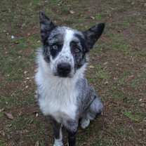 Thumbnail photo of Smoke #1