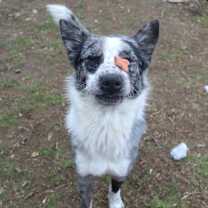 Thumbnail photo of Smoke #2