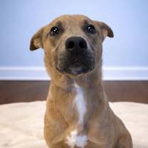 Thumbnail photo of Prince #1