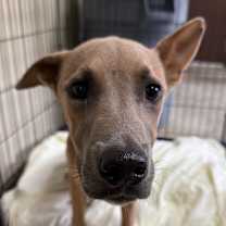 Thumbnail photo of Prince #2