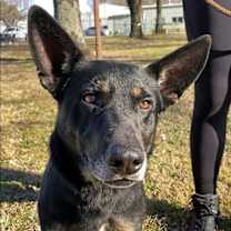 Thumbnail photo of Tate #3