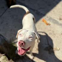 Thumbnail photo of Glacier #1