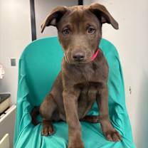 Thumbnail photo of Shelby F #1