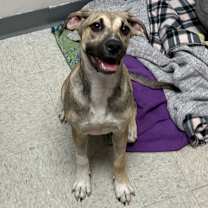 Thumbnail photo of Flower #1