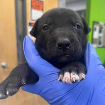 Thumbnail photo of Hayden F  #2