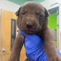 Thumbnail photo of Shelby F #2