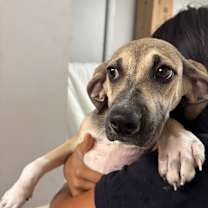 Thumbnail photo of Flower #2