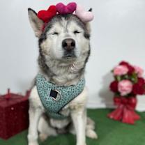 Thumbnail photo of Jenny #3