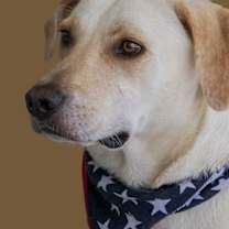 Thumbnail photo of PB #3