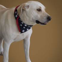 Thumbnail photo of PB #4