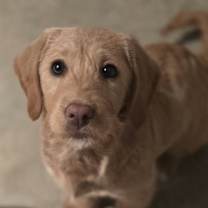 Thumbnail photo of Donna #1