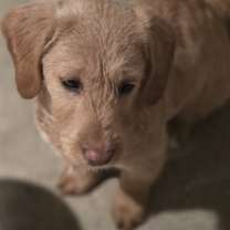 Thumbnail photo of Donna #3