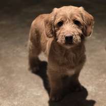 Thumbnail photo of Darlene #2