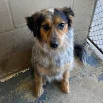 Thumbnail photo of PTia #2