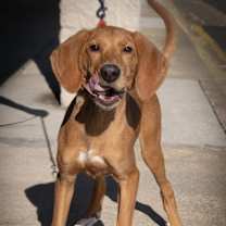 Thumbnail photo of Jolene #1