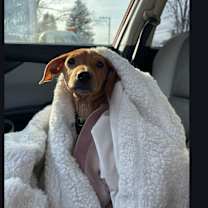 Thumbnail photo of Tizzy Jane~meet me! #2