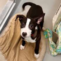 Thumbnail photo of Martha #1