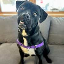 Thumbnail photo of Anu #2