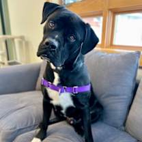 Thumbnail photo of Anu #3