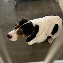 Thumbnail photo of Spencer #3