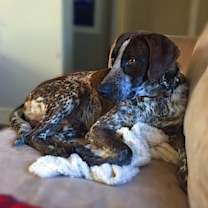 Thumbnail photo of Cobain #2