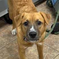 Thumbnail photo of Ken #2