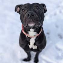 Thumbnail photo of Cauldron #2