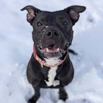 Thumbnail photo of Cauldron #3