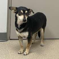 Thumbnail photo of Daisy #2