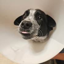 Thumbnail photo of Clarke #1