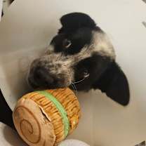 Thumbnail photo of Clarke #2