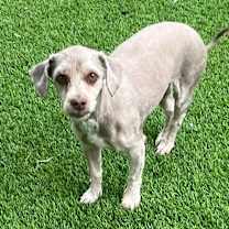 Thumbnail photo of Elvia #2