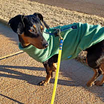 Thumbnail photo of Winnie #4