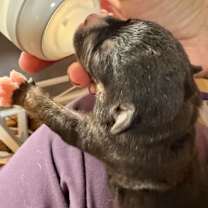 Thumbnail photo of Clark #4