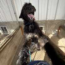 Thumbnail photo of Chase #4