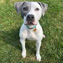 Thumbnail photo of Fiona #2