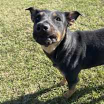 Thumbnail photo of Lady #4