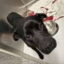 Thumbnail photo of Eve #3