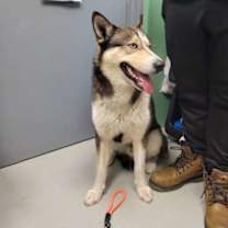 Thumbnail photo of Jupiter *Stray Hold* #3