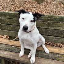 Thumbnail photo of Hattie Mae #2