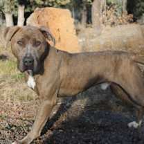 Thumbnail photo of Oscar #1