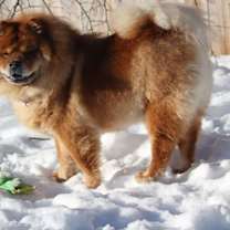 Thumbnail photo of Sarah #3