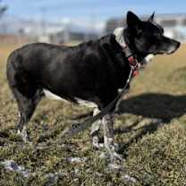 Thumbnail photo of Abbey #1