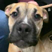 Thumbnail photo of Mike and Ike #3