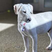 Thumbnail photo of Rick #4