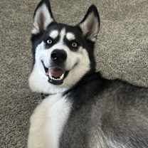 Thumbnail photo of Ramuh #3