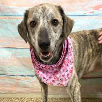 Thumbnail photo of Sasha #3